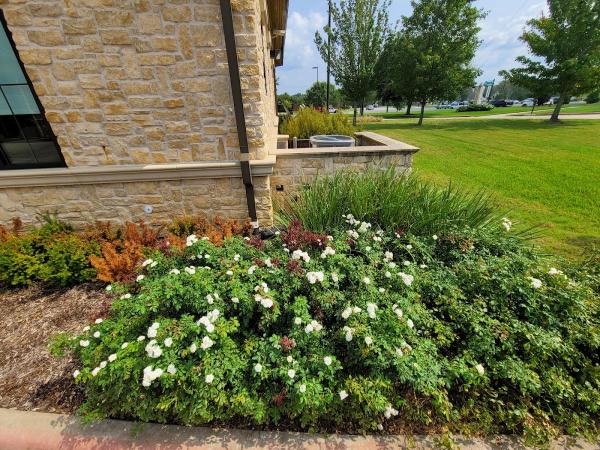 The Lawn Whisperer LLC