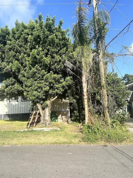 Hurricane Tree Specialists