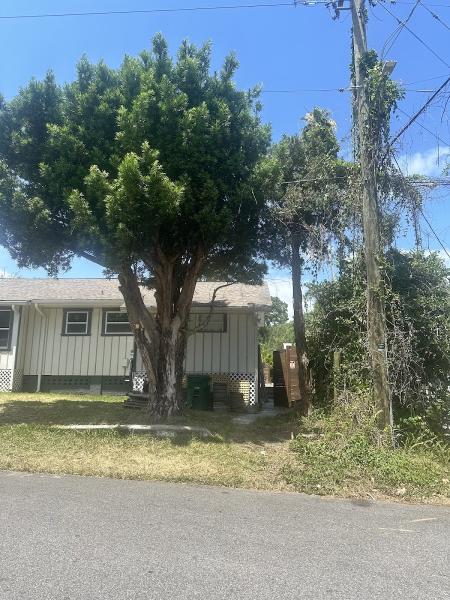 Hurricane Tree Specialists