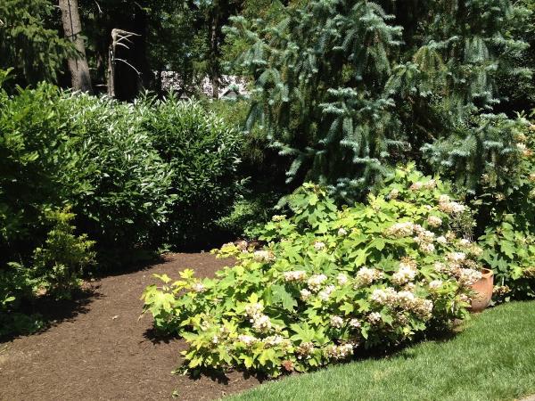 Adan Landscaping LLC