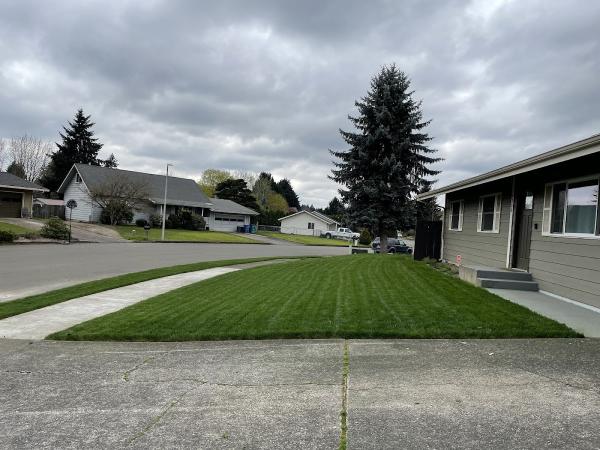 Dryps Lawn Care and Maintenance