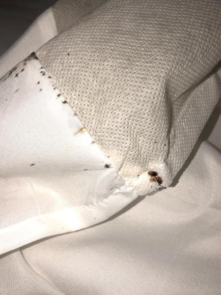 5 Star Pest Control & Bed Bug Exterminator