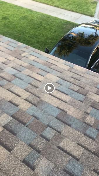 Authentic Roofs