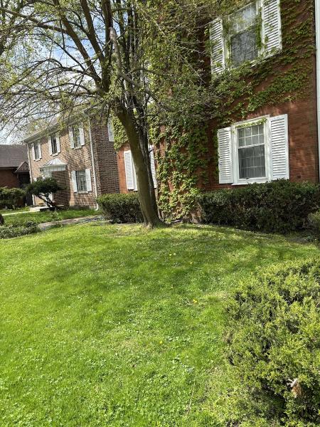 Discount Professional Tree Removal
