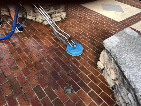 Steam Pros Carpet and Tile Cleaning