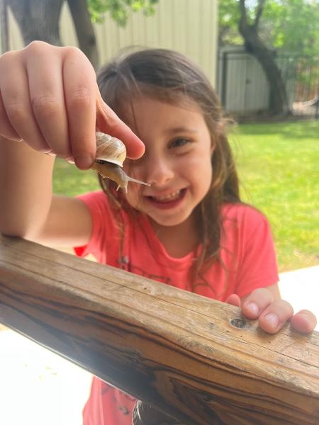 Mites Pest Control
