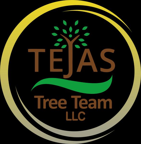 Tejas Tree Team LLC