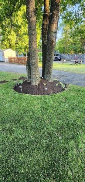 Zac's Landscaping