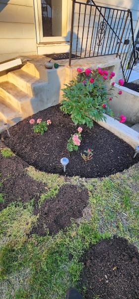 Zac's Landscaping
