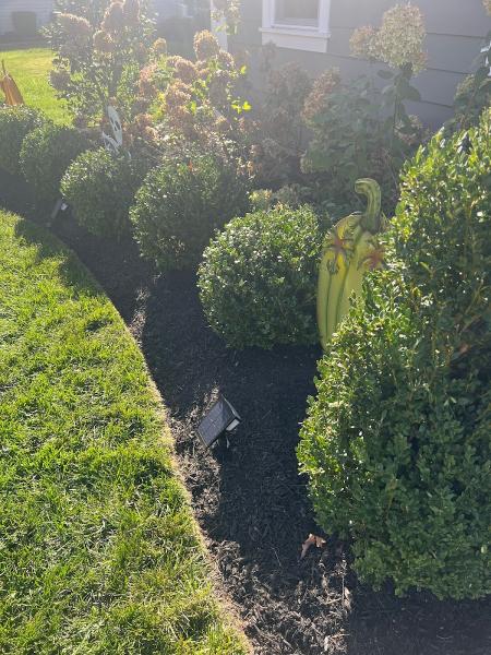 Zac's Landscaping
