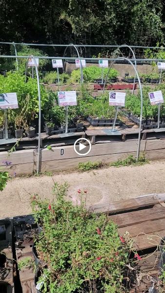 Native Gardeners Nursery
