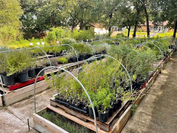 Native Gardeners Nursery