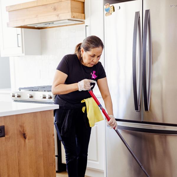 Cleaning Dino