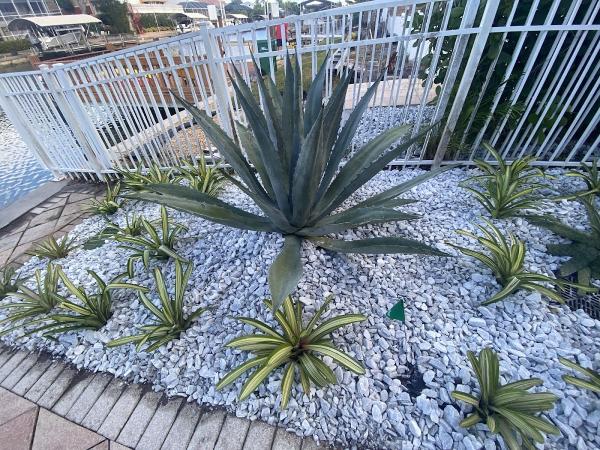 C.A. Landscaping & Tree Service