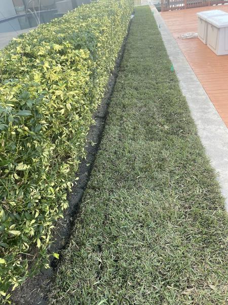 C.A. Landscaping & Tree Service