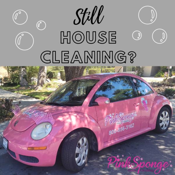 Pink Sponge Home Cleaning
