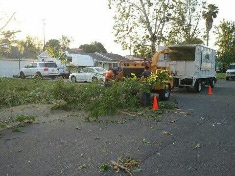Valley Green Tree Services