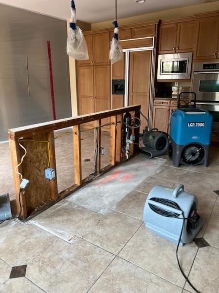 Ecopure Restoration