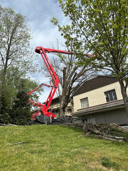 B&B Tree Services