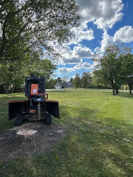 B&B Tree Services