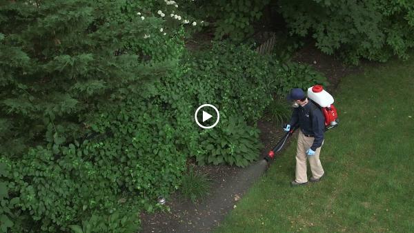 Excel Pest Services