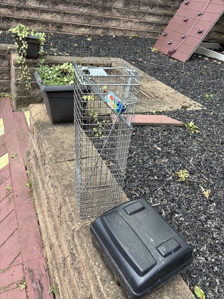 Excel Pest Services
