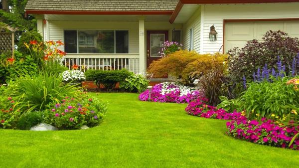 Always Landscaping & Construction