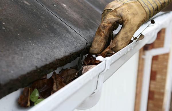 Gutter Junkies
