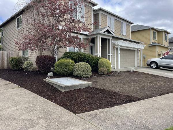 Busy Bee Lawn Service Inc