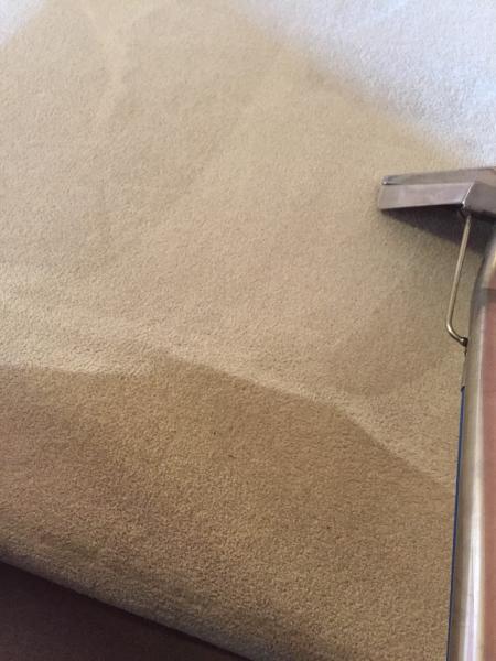 Medina Carpet Cleaning
