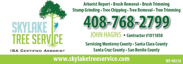 Skylake Tree Services