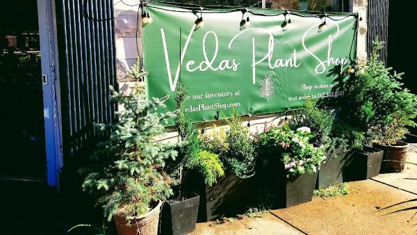 Vedas Plant Shop & Design