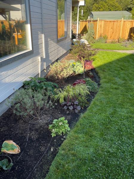 TLC Landscape