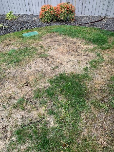 TLC Landscape