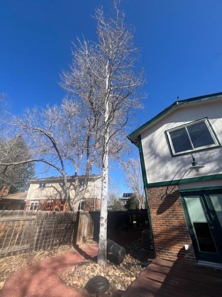 Reinholt Tree Care Inc.