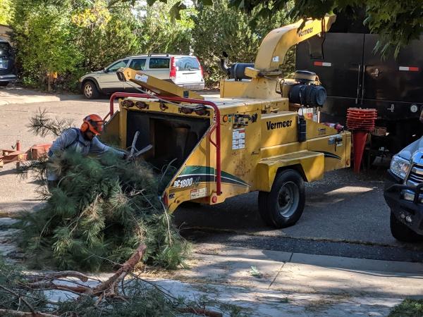 Reinholt Tree Care Inc.