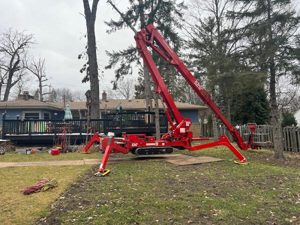 Chris Tree Service Llc