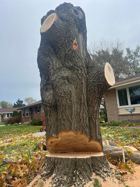Chris Tree Service Llc