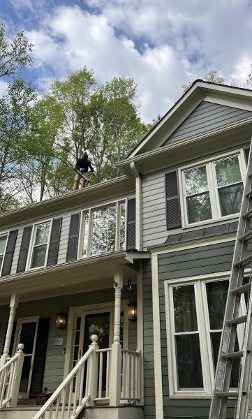 The Life Home Services
