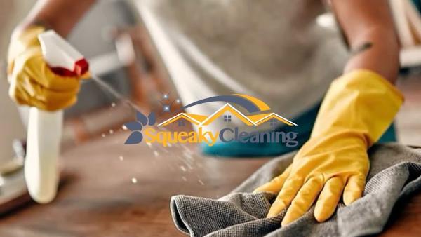 Squeaky Cleaning Miami