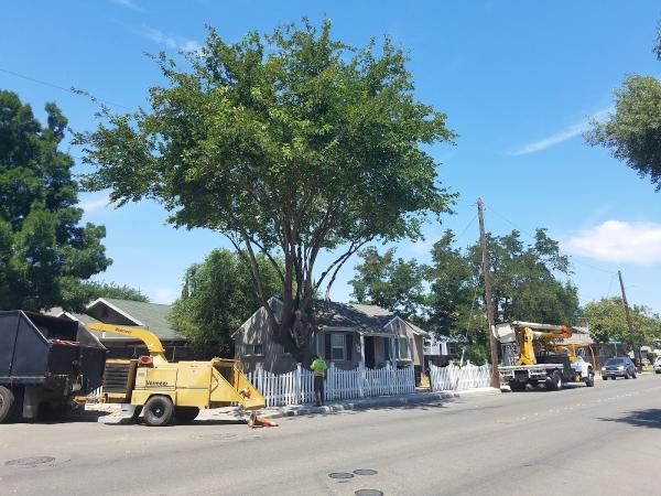 John N Eddie's Tree Care