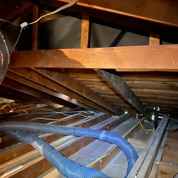 Attic Advisor