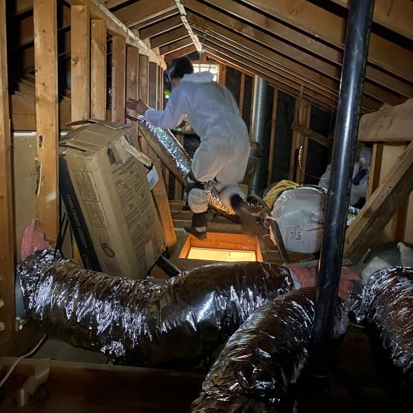 Attic Advisor