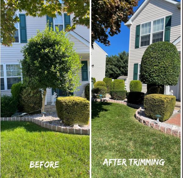 Proforest Landscaping