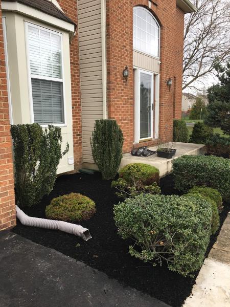 Proforest Landscaping