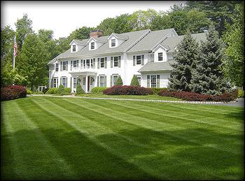 Pegton's Property Maintenance