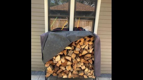 Dan Dan the Woodman