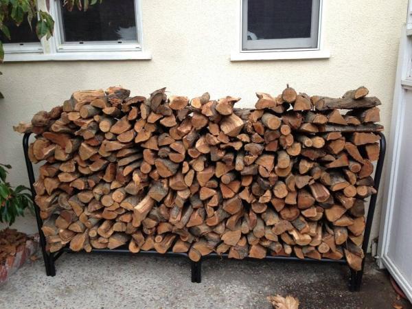 Dan Dan the Woodman