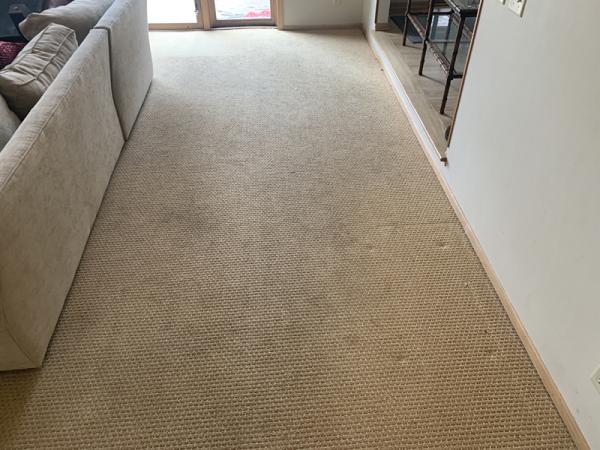 Clifford the Carpet Cleaner