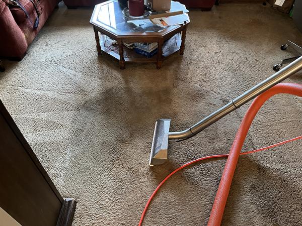 Clifford the Carpet Cleaner